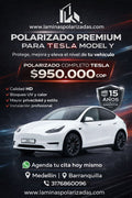 Polarizado Premiun Tesla Model Y