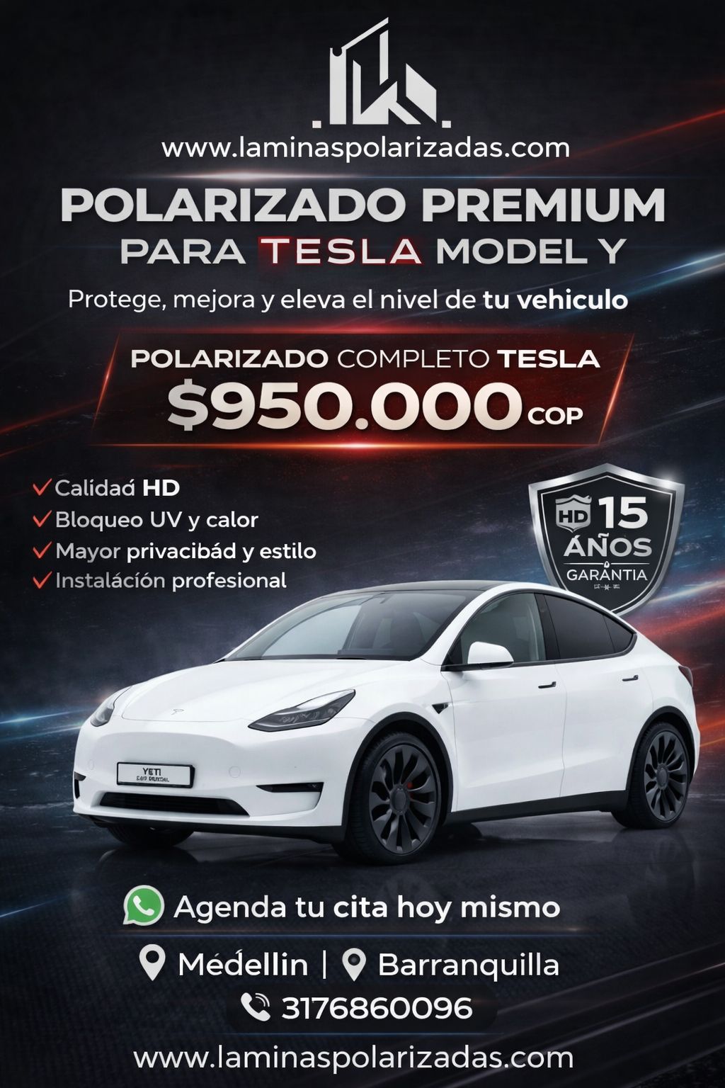 Polarizado Premiun Tesla Model Y